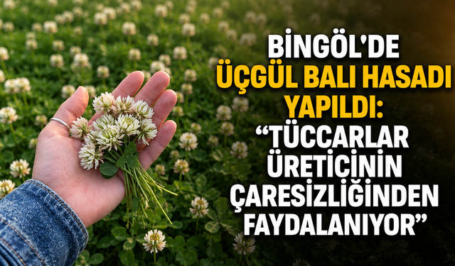 Bingöl’de Üçgül Balı Hasadı Yapıldı: “Tüccarlar Üreticinin Çaresizliğinden Faydalanıyor”