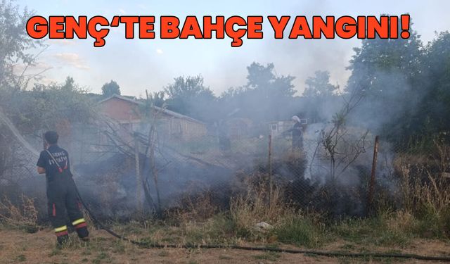 Genç'te Bahçe Yangını İtfaiyenin Müdahalesiyle Söndürüldü