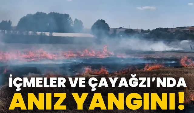 İçmeler ve Çayağzı’nda Anız Yangını!