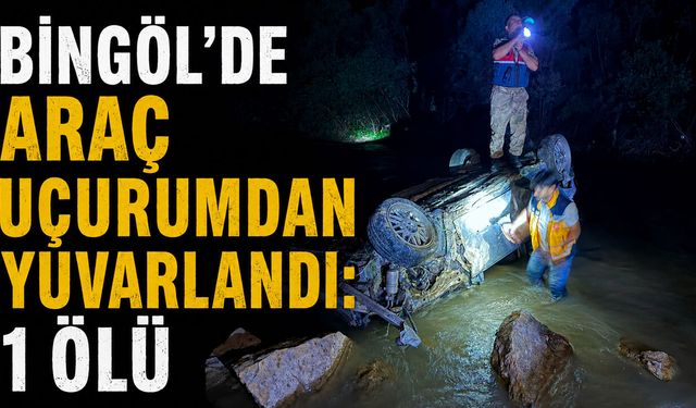 Bingöl’de Araç Uçurumdan Yuvarlandı: 1 Ölü