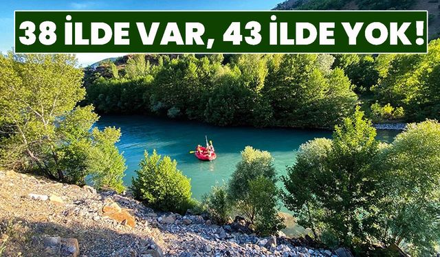 Milli Park Bulunan ve Bulunmayan İller