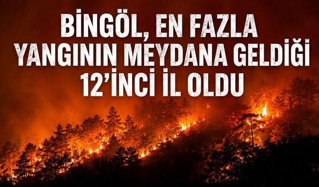 Bingöl, En Fazla Orman Yangınının Meydana Geldiği 12’inci İl Oldu