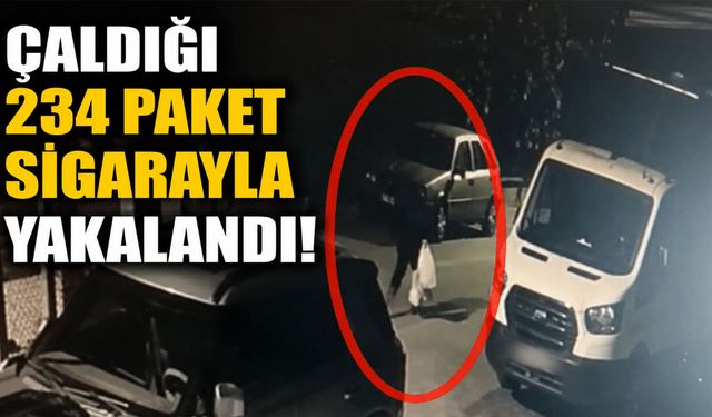 Bingöl’de 234 Paket Sigara Çalan Hırsız Yakalandı