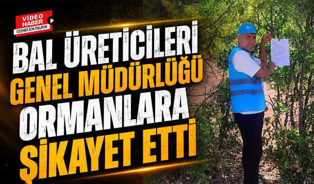 Bal Üreticileri Genel Müdürlüğü Ormanlara Şikayet Etti!