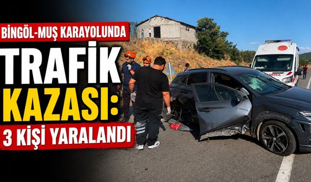 Bingöl-Muş Karayolunda Trafik Kazası: 3 Kişi Yaralandı