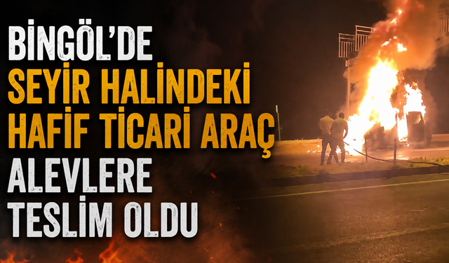 Bingöl’de Seyir Halindeki Hafif Ticari Araç Alevlere Teslim Oldu