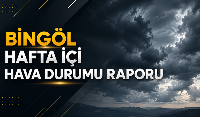 Bingöl Hafta İçi Hava Durumu Raporu