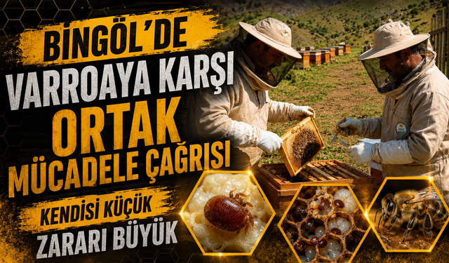 Bingöl'de Varroaya Karşı Ortak Mücadele Çağrısı