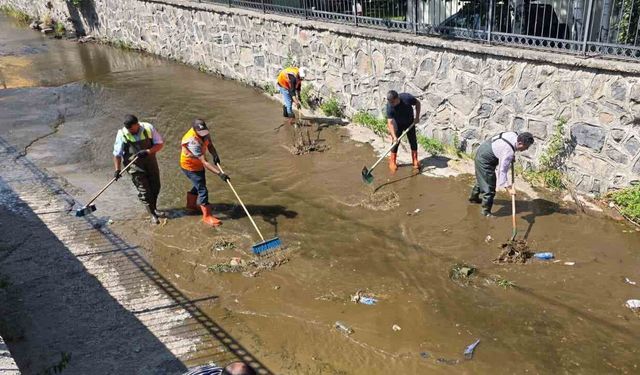 Alabalık Deresi'nde Temizlik Çalışması
