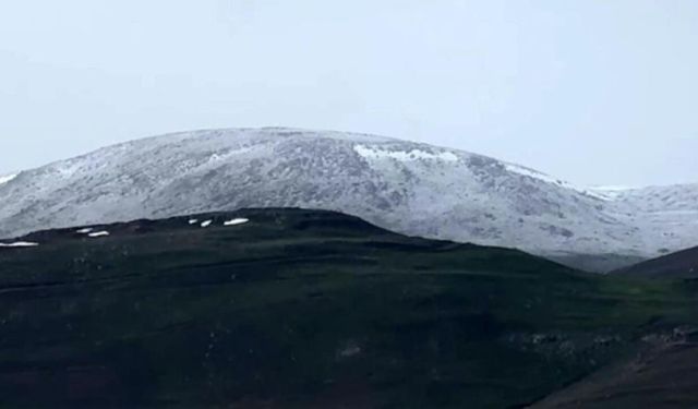 Ardahan'da Dolu Yağdı: Dağlar Beyaza Büründü