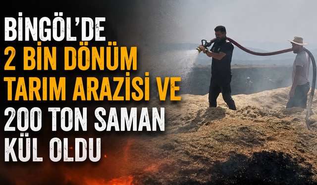 Bingöl’de 2 Bin Dönüm Tarım Arazisi Ve 200 Ton Saman Kül Oldu