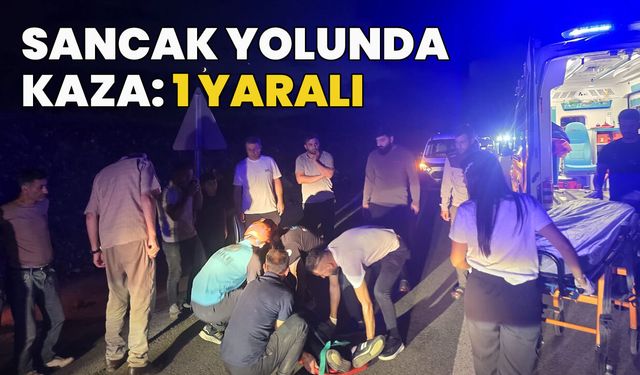 Bingöl Sancak Yolunda Kaza: 1 Yaralı