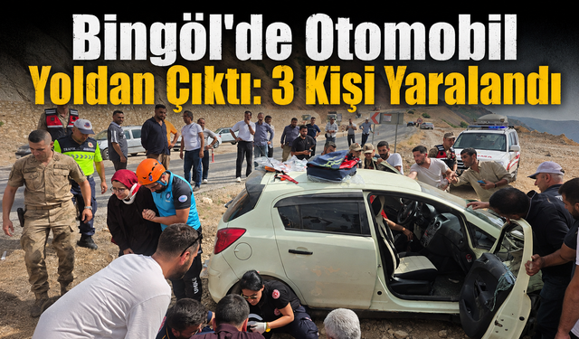 Bingöl'de Otomobil Yoldan Çıktı: 3 Kişi Yaralandı