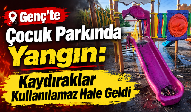 Genç’te Çocuk Parkında Yangın: Kaydıraklar Kullanılamaz Hale Geldi