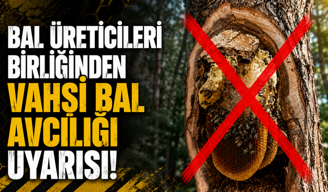 Bal Üreticileri Birliğinden Vahşi Bal Avcılığı Uyarısı!