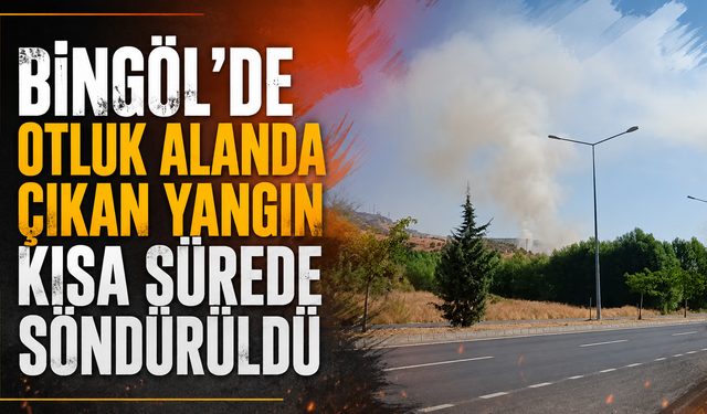Bingöl’de Otluk Alanda Çıkan Yangın Kısa Sürede Söndürüldü