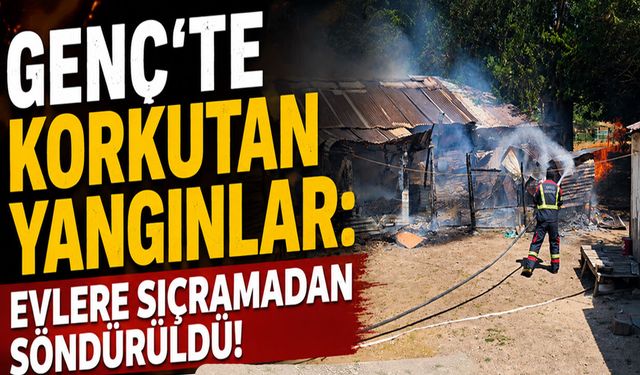 Genç'te Korkutan Yangınlar: Evlere Sıçramadan Söndürüldü!