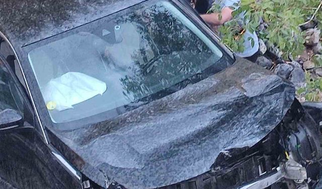 Karakoçan'da Otomobil Şarampole Devrildi: 1 Yaralı