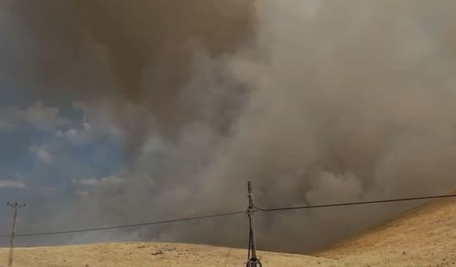 Örtü Yangını, Rüzgarın Etkisiyle Yayıldı! Ekiplerin Müdahalesi Sürüyor
