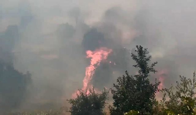 Lice'de Korkutan Yangın