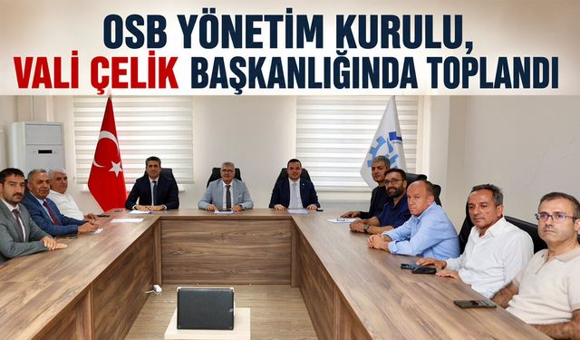 Bingöl OSB Yönetim Kurulu ve Müteşebbis Heyet Toplantıları Yapıldı