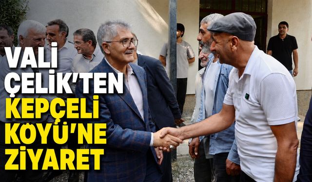 Bingöl Valisi Çelik’ten Kepçeli Köyü’ne Ziyaret