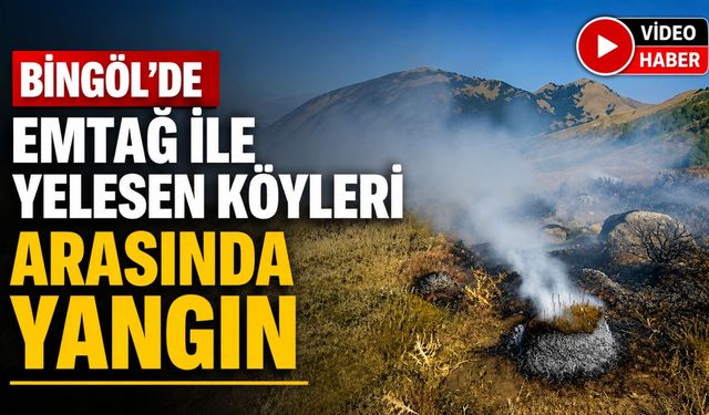 Emtağ ile Yelesen Köyleri Arasında Yangın
