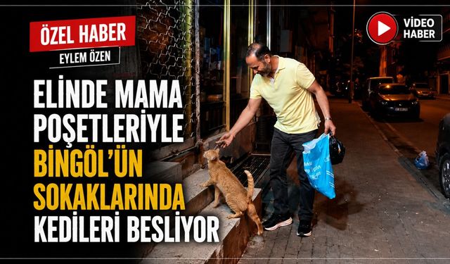 Elinde Mama Poşetleriyle Bingöl'ün Sokaklarında Kedileri Besliyor
