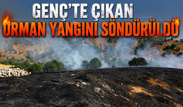 Genç’te Çıkan Orman Yangını Söndürüldü