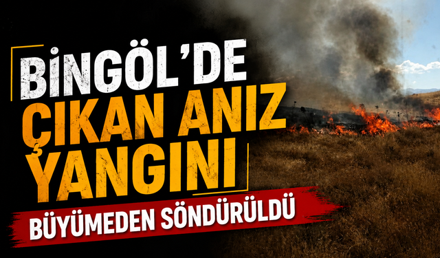 Bingöl’de Çıkan Anız Yangını Büyümeden Söndürüldü