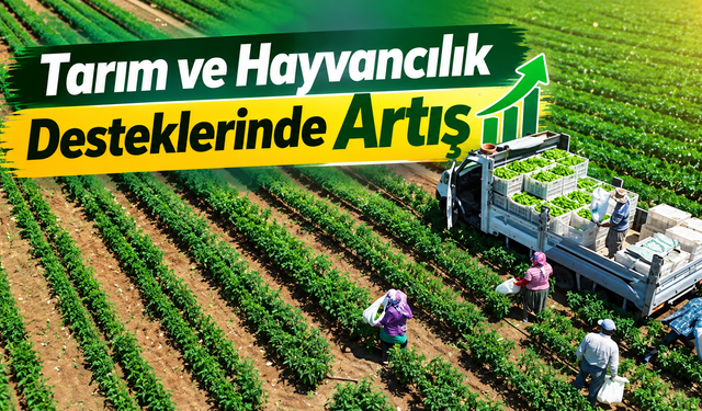 Tarım ve Hayvancılık Desteklerinde Artış