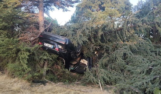 Elazığ’da Otomobil Ağaca Çarptı: 1 Yaralı