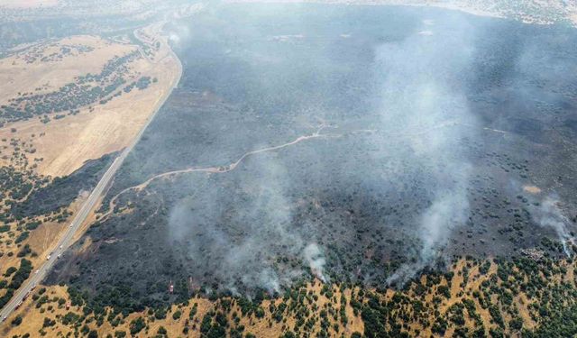 Elazığ’da Yangın Ormanlık Alana Sıçradı