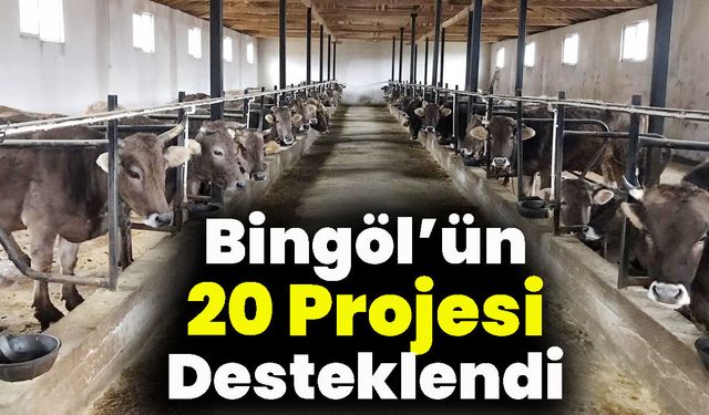 Bingöl’ün 20 Projesi Desteklendi