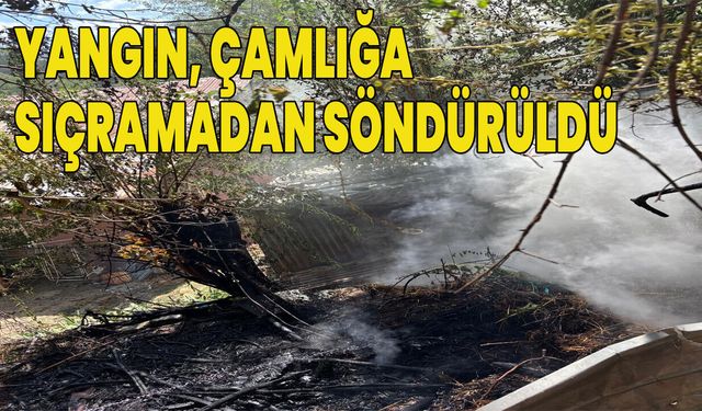 Genç’te Korkutan Yangın!