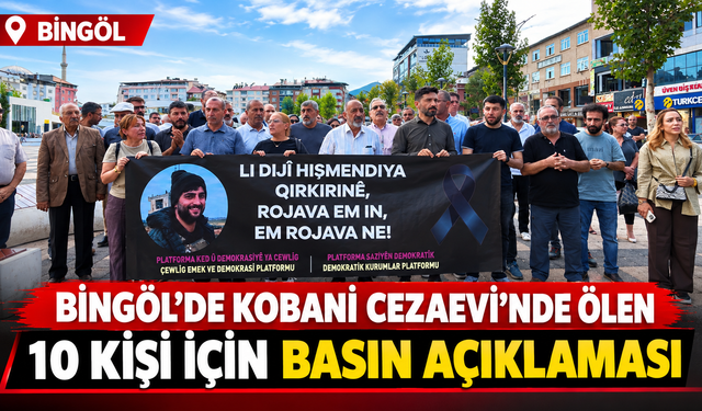 Bingöl’de Kobani Cezaevi’nde Ölen 10 Kişi İçin Basın Açıklaması