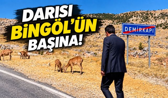 Darısı Bingöl’ün Başına!