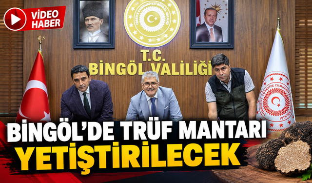 Bingöl’de Trüf Mantarı Yetiştirilecek