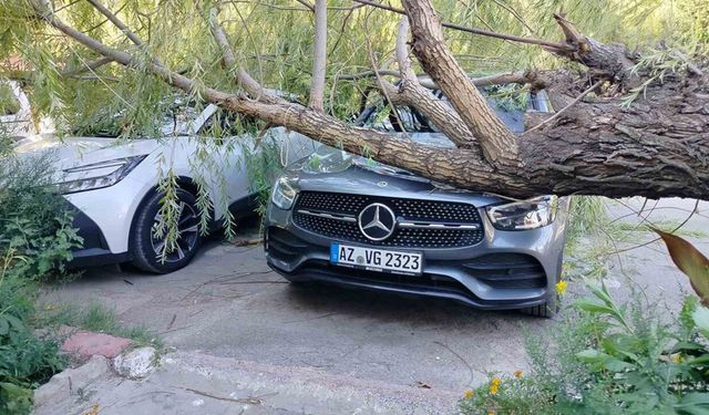 Elazığ'da Kuvvetli Rüzgar, Ağaç Devirdi: 2 Otomobilde Hasar Oluştu