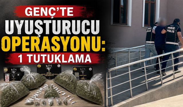 Genç'te Narkotik Operasyon: 1 Tutuklama