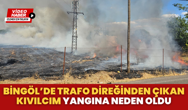 Bingöl’de Trafo Direğinden Çıkan Kıvılcım Yangına Neden Oldu