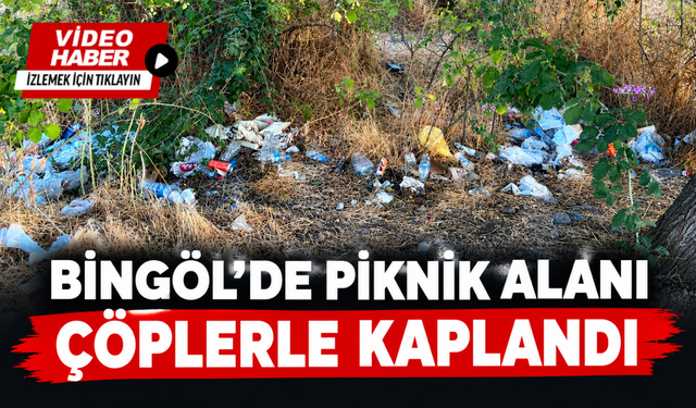 Bingöl’de Piknik Alanı Çöplerle Kaplandı