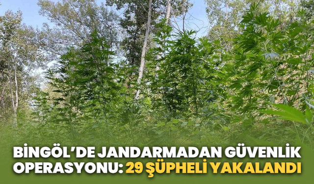 Bingöl’de Jandarmadan Güvenlik Operasyonu: 29 Şüpheli Yakalandı