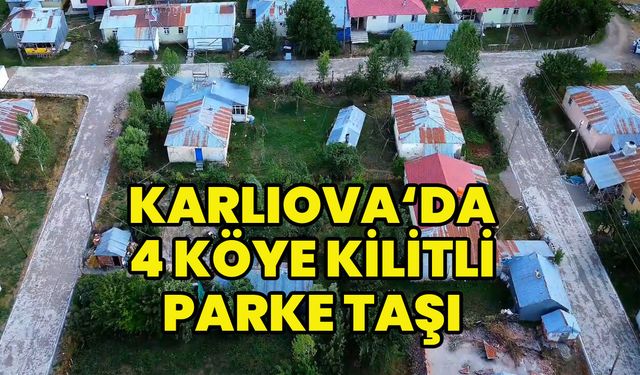 Karlıova'da 4 Köyde Kilitli Parke Taş Çalışması