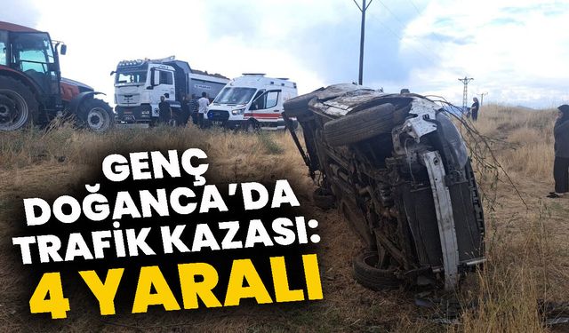 Genç Doğanca’da Trafik Kazası: 4 Yaralı