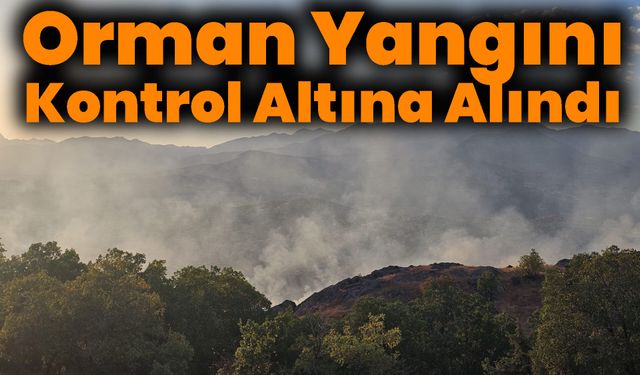 Bingöl'de Çıkan Orman Yangını Kontrol Altına Alındı