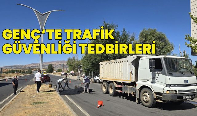 Bingöl’ün İlçesinde Yollara Hız Kesici Yerleştirildi!