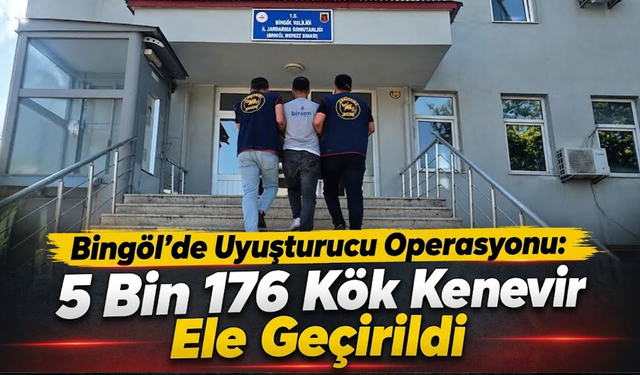 Bingöl’de Uyuşturucu Operasyonu: 5 Bin 176 Kök Kenevir Ele Geçirildi