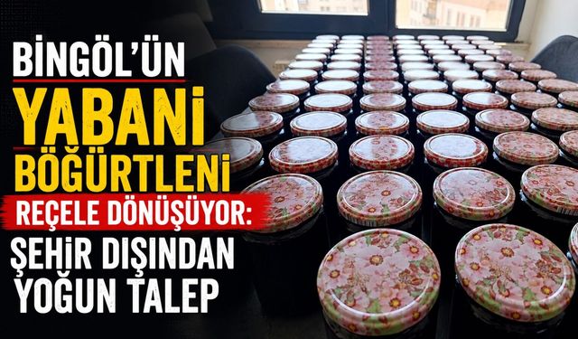 Bingöl’ün Yabani Böğürtleni Reçele Dönüşüyor: Şehir Dışından Yoğun Talep