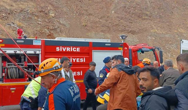 Elazığ’da Küçükbaş Hayvan Yüklü Tır Devrildi: Çok Sayıda Hayvan Telef Oldu